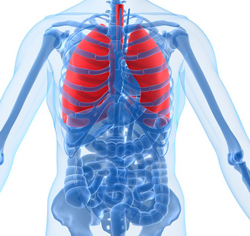 慢阻肺是由什么原因引起的